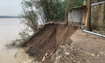  Tăng cường kiểm tra, đảm bảo an toàn điện mùa mưa bão trên địa bàn TPHCM 