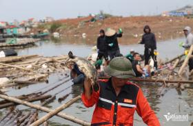 Nghìn tỷ bị bão cuốn bay, bảo hiểm nông nghiệp ở đâu?