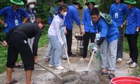  &apos;Ba cùng&apos; đổi thay vùng đất khó - Bài cuối: Ấm áp dưới tán rừng U Minh Hạ 