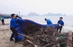  Hàng vạn thanh niên Hạ Long ra quân làm sạch môi trường 第5张