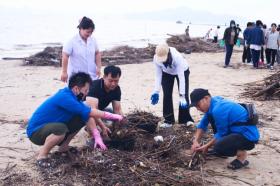  Hàng vạn thanh niên Hạ Long ra quân làm sạch môi trường 