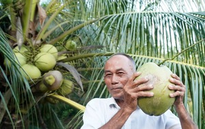 Nghe chó sủa &quot;căng&quot; sau nhà, một người Bình Định thấy 2 con vật lạ là động vật hoang dã có tên trong sách Đỏ