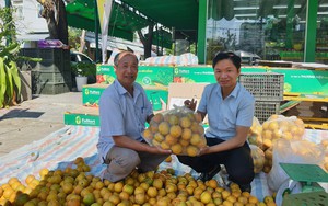 Đà Nẵng: Sôi nổi Hội thi rung chuông vàng “Nông dân Thanh Khê với chính sách bảo hiểm xã hội tự nguyện”  第14张