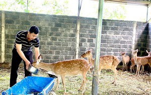 Trường Cán bộ Hội Nông dân Việt Nam tổ chức Hội thảo gia công trong nông nghiệp, thực trạng, kiến nghị