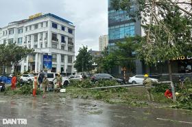 Cảnh hoang tàn sau bão Yagi tại các khu đô thị ở Hà Nội