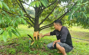 Kinh phí đầu tư cho KH&amp;CN phải đi vào từng ngành, lĩnh vực, địa phương với những nhiệm vụ cụ thể, thiết thực