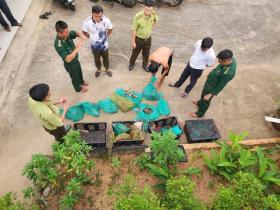  Bắt quả tang người vận chuyển 17 cá thể động vật nguy cấp quý hiếm ở Côn Đảo 第1张