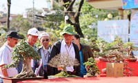  Từ &apos;phù thủy&apos; tóc đến ma thuật bonsai 