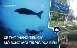 Cài &quot;bẫy ảnh&quot; và camera giám sát tại các bãi đẻ của  第15张