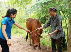  Lạng Giang triển khai nhiều giải pháp hỗ trợ giảm nghèo bền vững 第2张