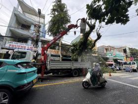 Quảng Ngãi hỏa tốc dừng họp không cần thiết, tập trung chống bão Trà Mi