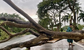  Bão Trà Mi đổ bộ, miền Trung hứng chịu mưa lớn dài ngày 