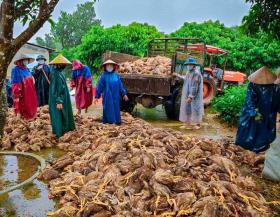 Quảng Bình: mưa lũ gây thiệt hại nặng nề về người và tài sản  第6张