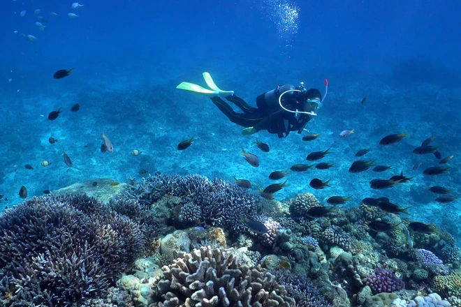  Gợi ý du lịch Okinawa - thiên đường cận nhiệt đới của Nhật Bản 第2张