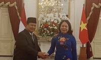  Indonesia nhận tin buồn với nỗ lực nhập tịch tiền vệ có giá gấp đôi đội tuyển Việt Nam 第9张