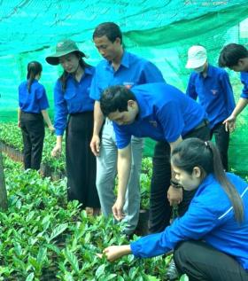  Hàng trăm thanh niên dân tộc thiểu số được hỗ trợ phát triển kinh tế 